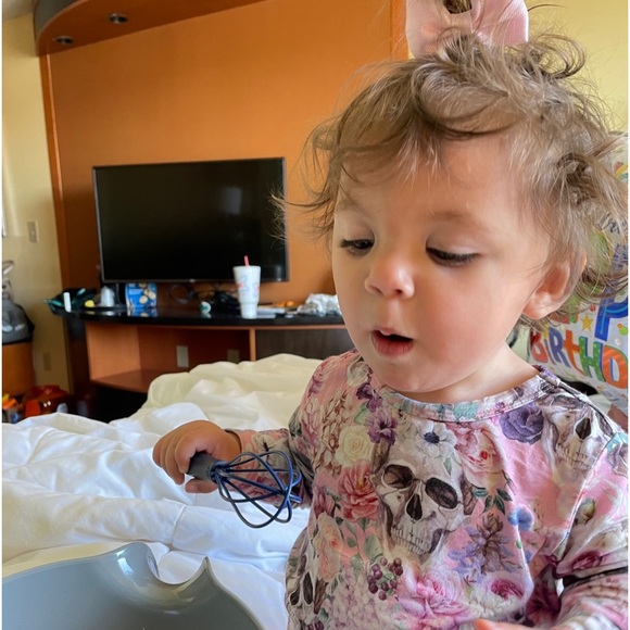 12/18 RARE Posh Peanut Francesca Skull Butterflies Roses Pumpkin BEAUTIFUL!!! - Picture 14 of 15